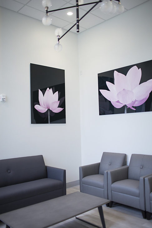 office photos 0E2B9588